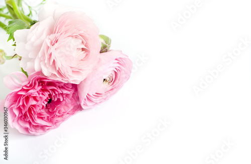 Photo Beautiful bouquet of ranunculus flowers of pink color on a white background