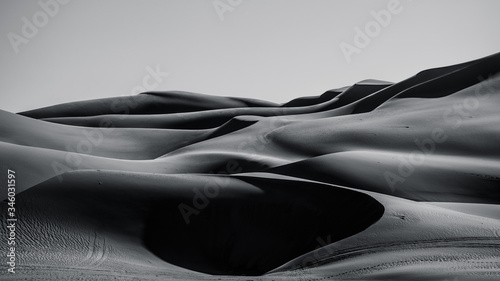 Fototapeta Naklejka Na Ścianę i Meble -  sand dunes in the Liwa desert ,abu dhabi , united arab emirates