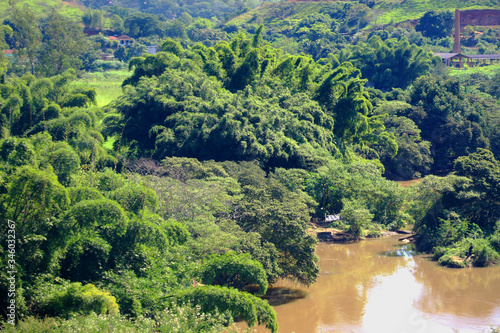 O RIO A MATA E A FAZENDA photo