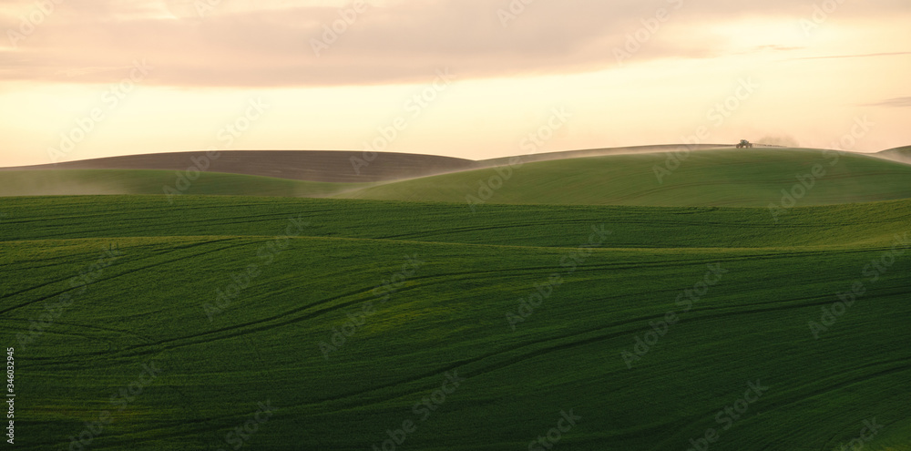 green and brown fields
