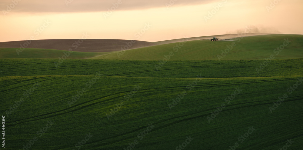 Obraz premium farming on the palouse
