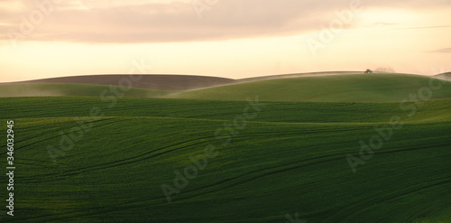 green and brown fields