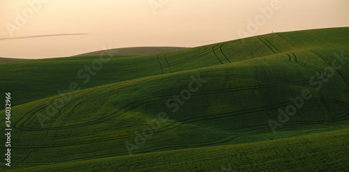 green fields © Rich