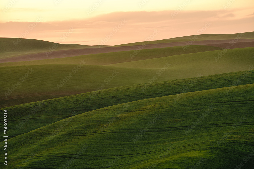 Sunset over wheat fields