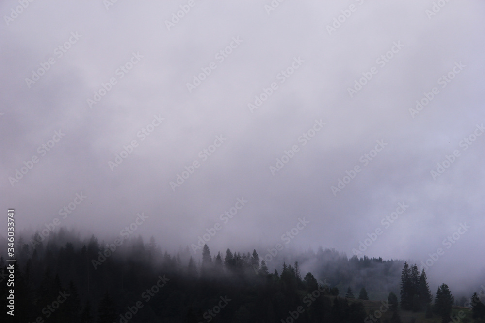 fog in the mountains