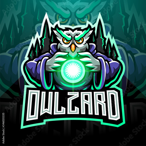 Owl wizard esport mascot logo