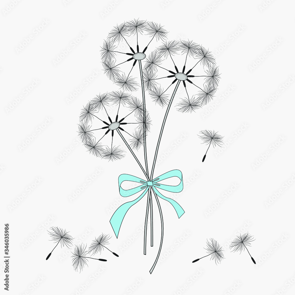 a bouquet of dandelions with a blue ribbon on a light background, vector image