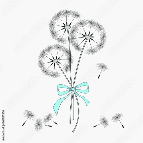a bouquet of dandelions with a blue ribbon on a light background  vector image