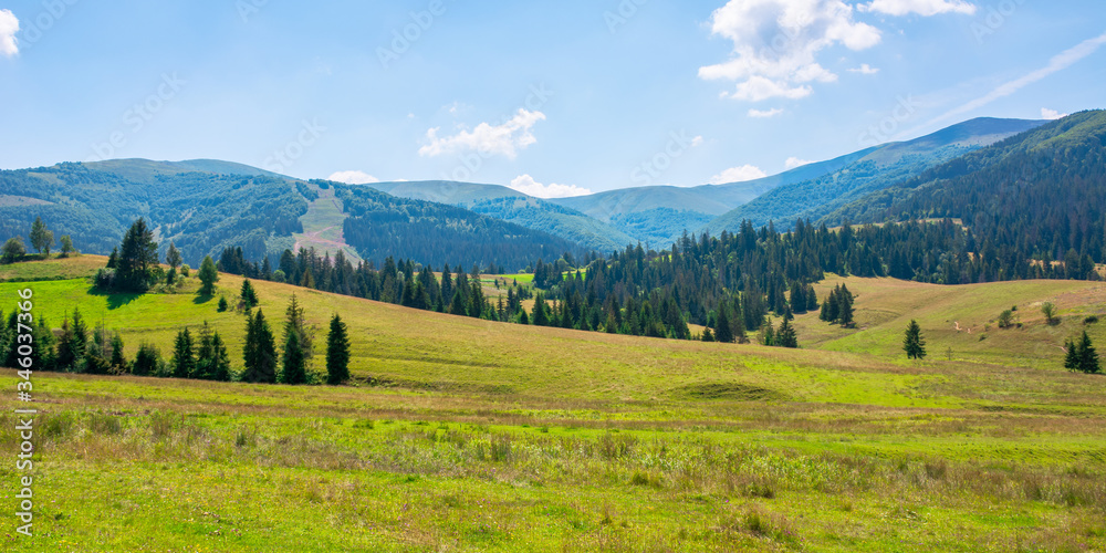 Obraz premium mountainous countryside at high noon. beautiful rural scenery with trees and fields on the rolling hills at the foot of the ridge. nature and sustainability development concept