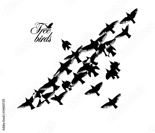 A flock of flying silhouette birds. Vector illustration