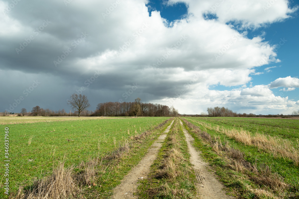 A dirt road through green fields and clouds on the sky A dirt road through green fields and clouds on the sky