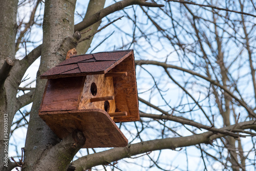 Wooden birdhouse on a tree © bravissimos