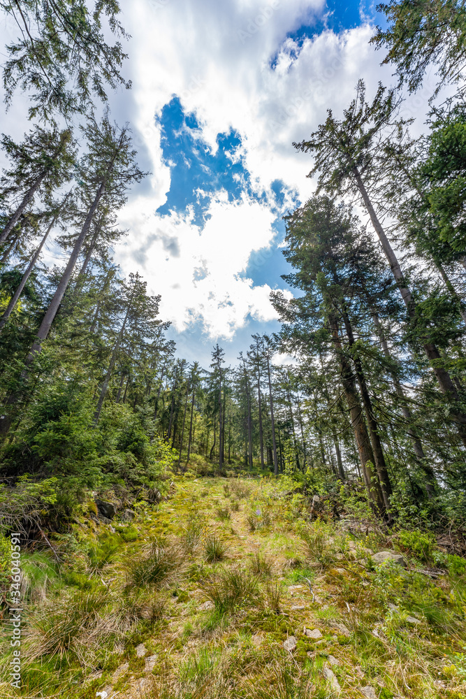 Blick in den Bayerischen Wald | Käseplatte bei St. Englmar Blick in den Bayerischen Wald | Käseplatte bei St. Englmar