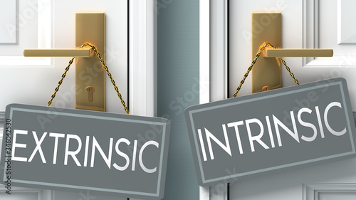 intrinsic or extrinsic as a choice in life - pictured as words extrinsic, intrinsic on doors to show that extrinsic and intrinsic are different options to choose from, 3d illustration