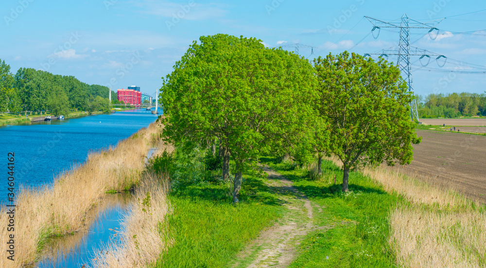 Canal with wild flowers and lush foliage below a blue sky in sunlight in spring Canal with wild flowers and lush foliage below a blue sky in sunlight in spring