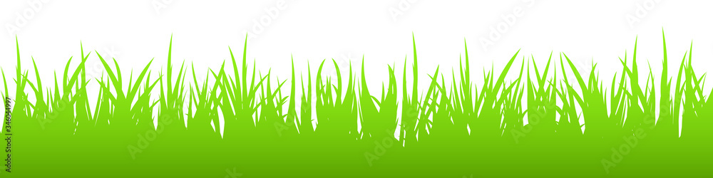Fototapeta premium Green grass on white background, silhouette. Panoramic view, vector illustration.
