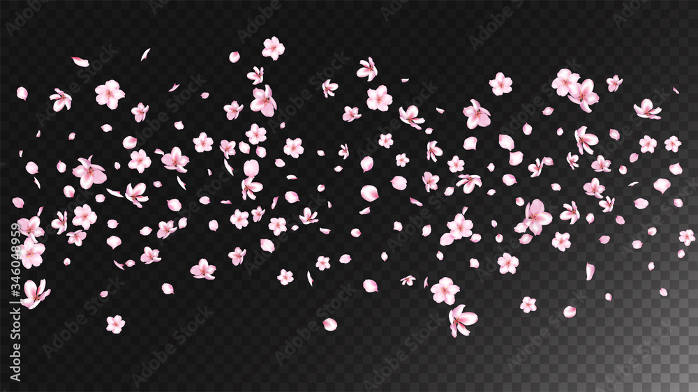 Nice Sakura Blossom Isolated Vector. Summer Blowing 3d Petals Wedding Paper. Japanese Blurred Flowers Illustration. Valentine, Mother's Day Beautiful Nice Sakura Blossom Isolated on Black