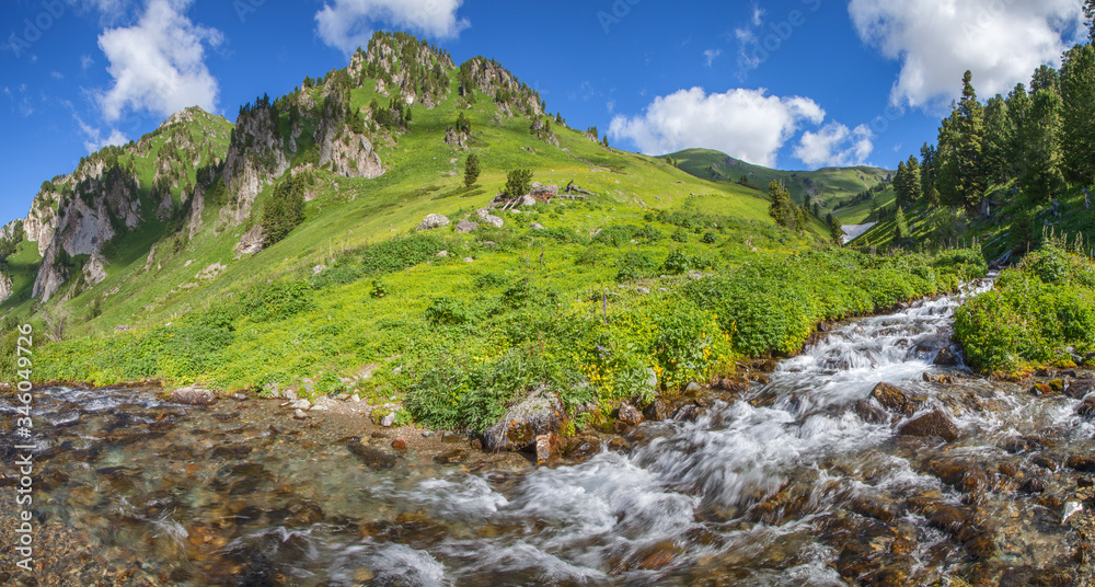 Mountain creek, picturesque spring view. Clean stream, green meadows, blue sky.
