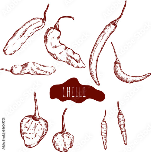 Chilies hand drawn character set