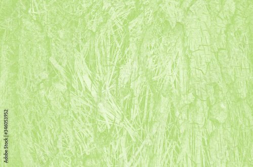abstract light green background with copy space for design