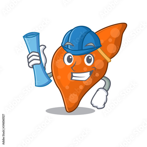 Cartoon character of human hepatic liver brainy Architect with blue prints and blue helmet