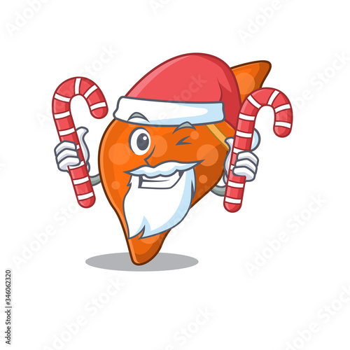 Friendly human hepatic liver in Santa Cartoon character holds Christmas candies