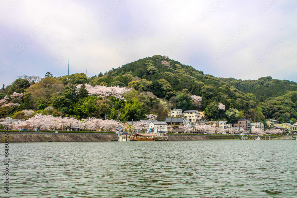 Naklejka premium 瀬田川