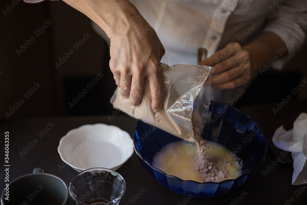 Fototapeta premium housewife cooking