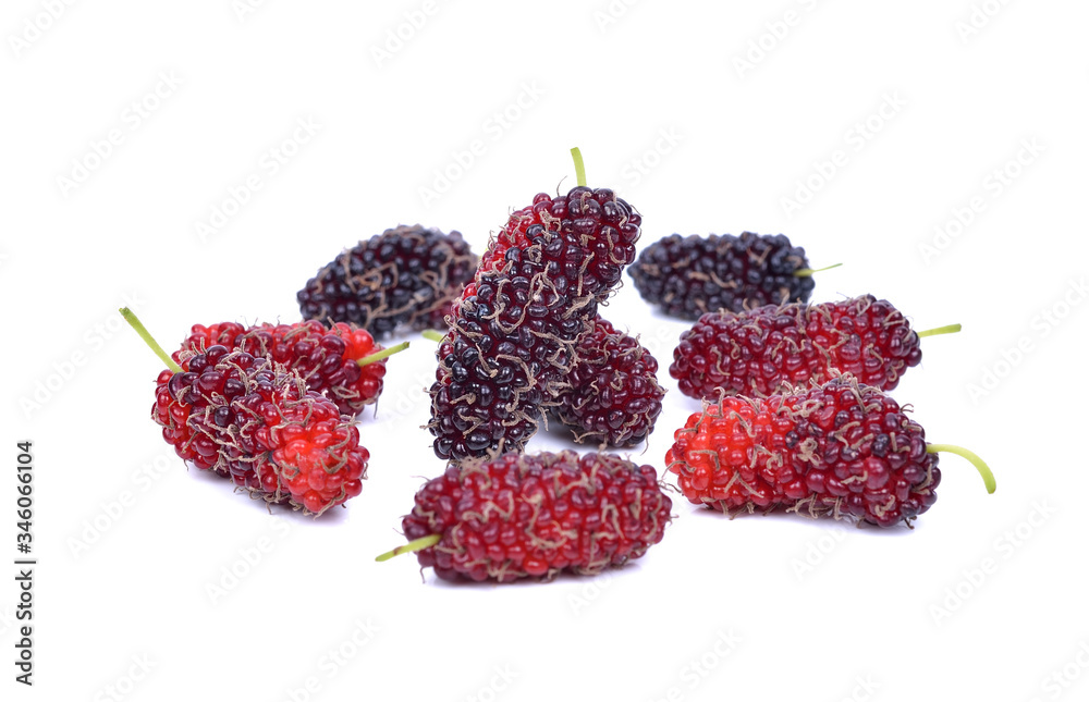 Mulberry Isolated on white background Mulberry Isolated on white background
