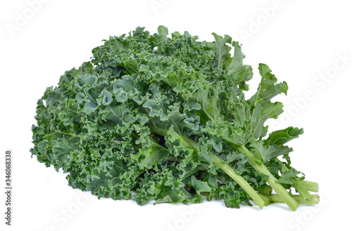 Super Food (kale)on white background