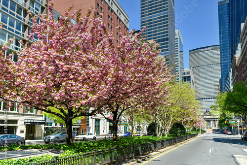 Slika na platnu Park Avenue Viaduct - New York City