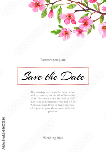 Watercolor cherry blossom flower wedding poster, flyer. Sakura beautiful spring floral template greeting card design. Colorful illustration isolated on white background