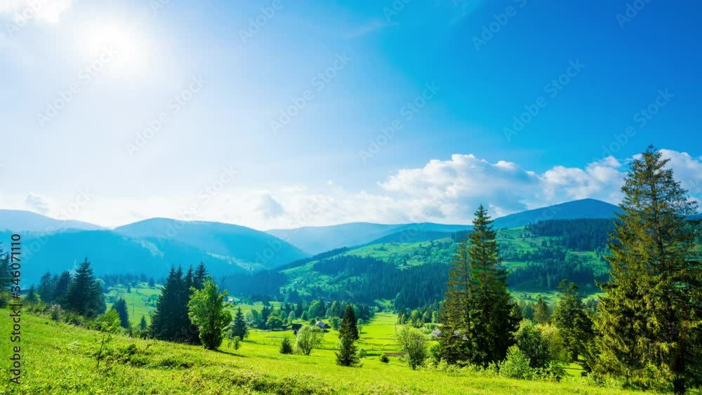 Time lapse clouds moving over pine tree highland forest. Foggy morning landscape at Carpathian mountains.