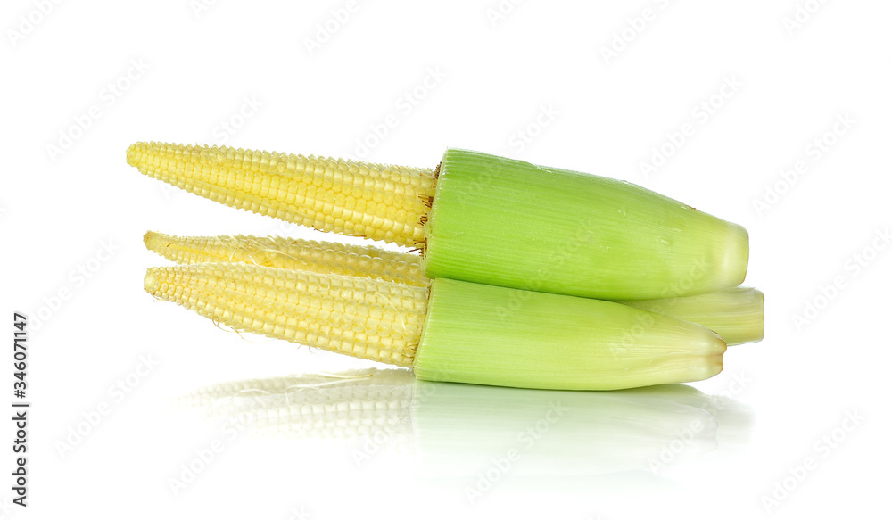baby corn isolated on white background baby corn isolated on white background