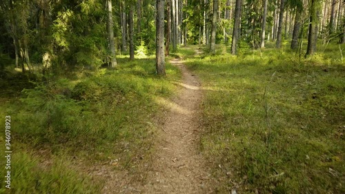 Walking trail in the middle of the woods