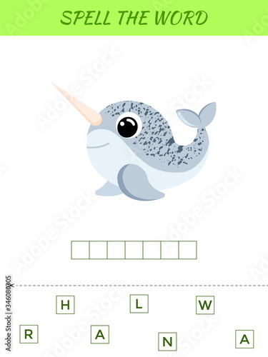 Spelling word scramble game template. Educational activity for preschool years kids and toddlers with cute narwhal. Flat vector stock illustration.
