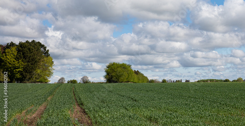 Field with blue sky and many clouds