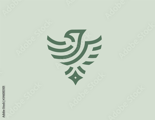 Geometric linear logo emblem. Abstract image of an eagle bird, for your company.