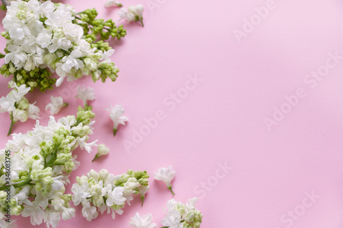 White lilac flowers on pink background. Creative layout , spring template . Spring background with empty space for Mother's day, women's day, 8 march, birthday, easter, wedding invitation