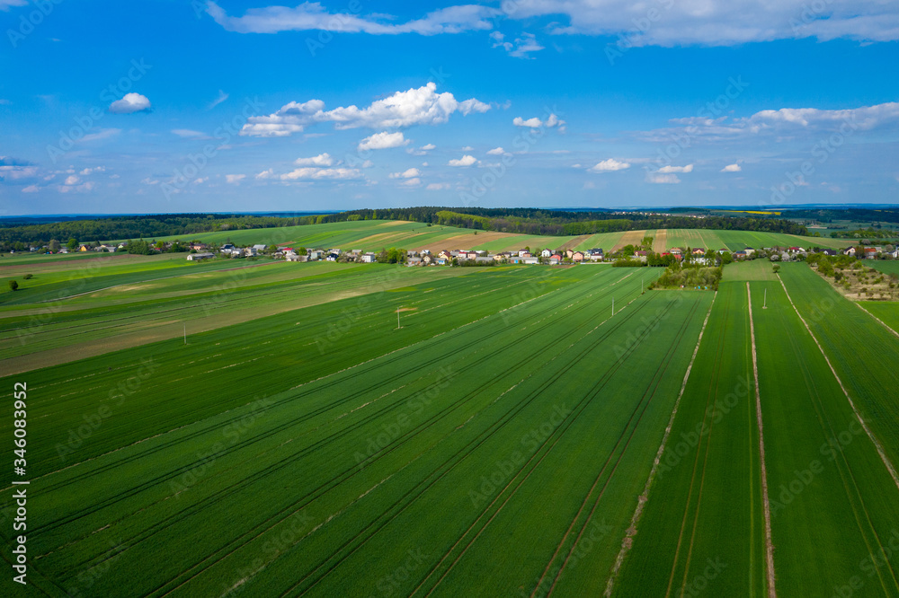 Obraz premium Aerial view of green agriculture field in Jura region, Silesian Voivodeship. Poland.