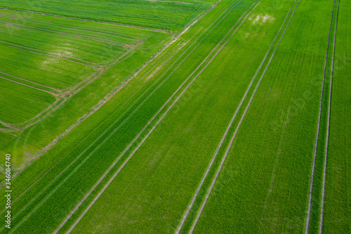 aerial view over the rural fields in the summer