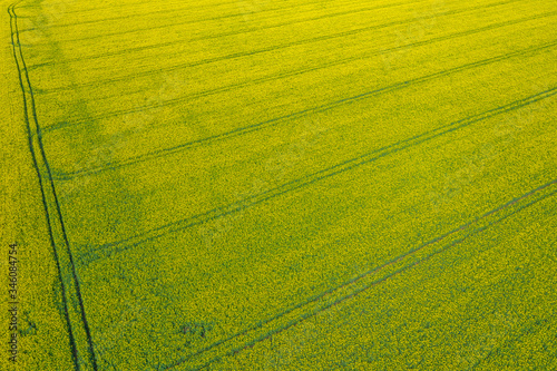 aerial view over the rural fields in the summer