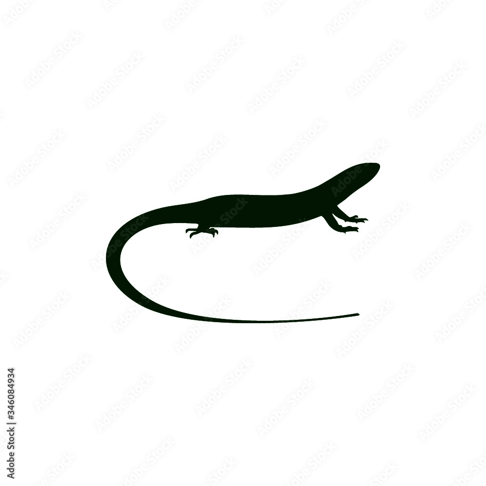 Green lizard icon for web design isolated on white background