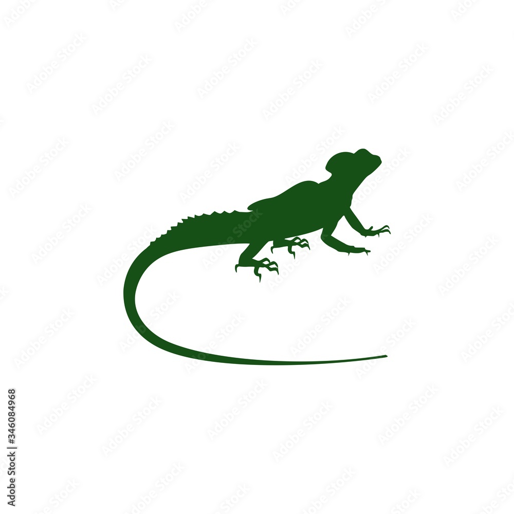 Fototapeta premium Green lizard icon for web design isolated on white background