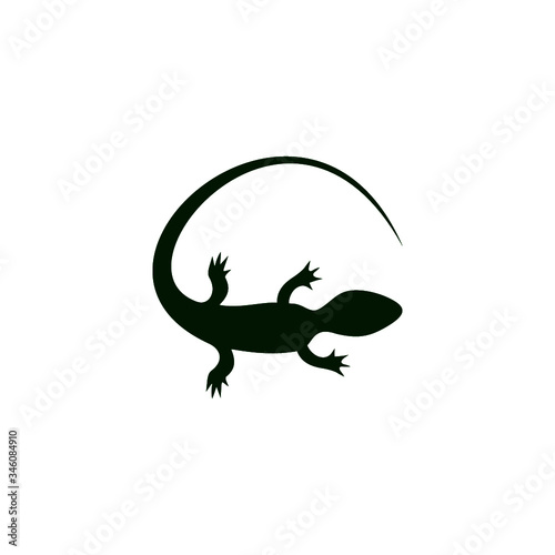 Green lizard icon for web design isolated on white background