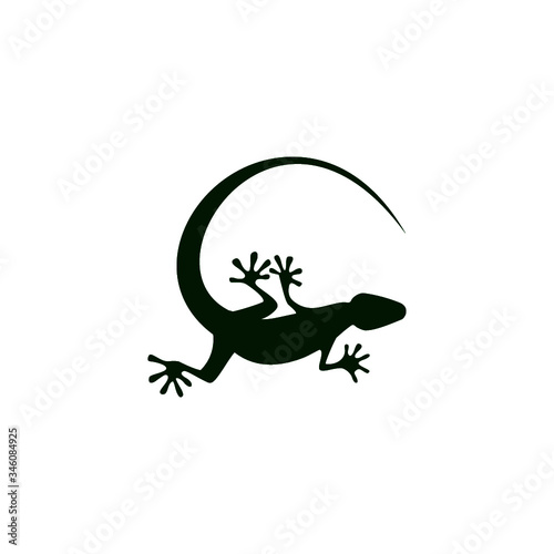 Green lizard icon for web design isolated on white background