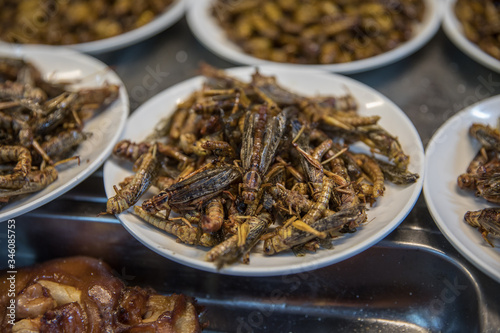 Fried grasshoppers in a street market. China.