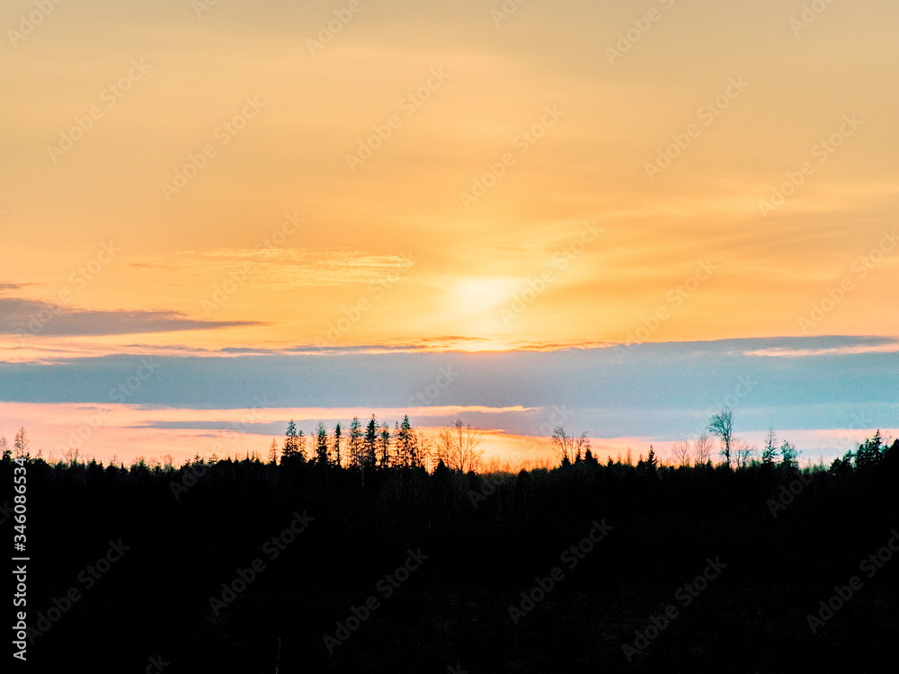 black tree silhouettes on a colorful sunset sky
