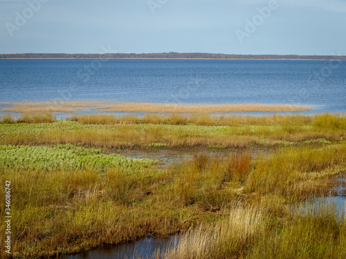 bright landscape with lake shore, flooded lake meadows, first spring greenery, wallpaper