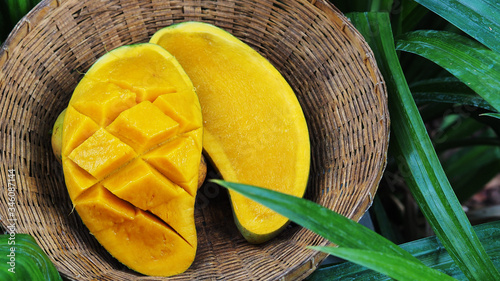 Mango tropical fruit in wooden basket put on green leaf background